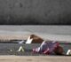 Secuestran y asesinan a golpes a una niña de 3 años en Portugal por una deuda de “brujería” amorosa de su madre